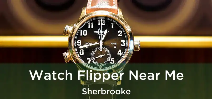  Watch Flipper Near Me Sherbrooke